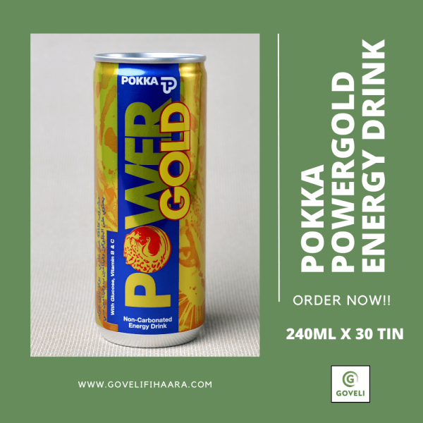 POKKA POWERGOLD ENERGY DRINK (240ML X 30 TIN)